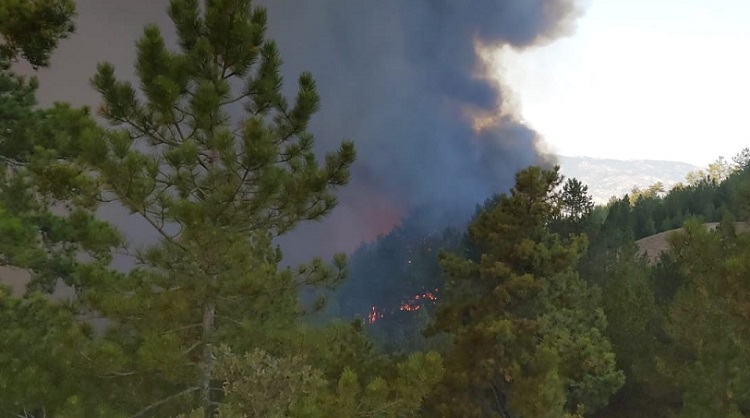 ÇORUM’DA ORMAN YANGINI ÇIKTI!