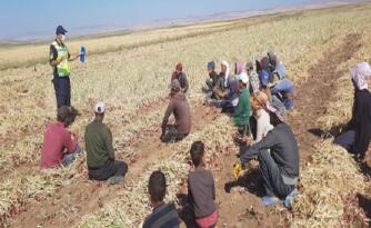 ÇORUM’DA TARIM İŞÇİLERİ UYARILDI!