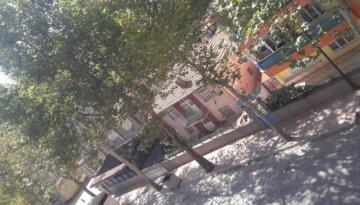 SULANMAYAN AĞAÇLAR KURUMAYA BAŞLADI