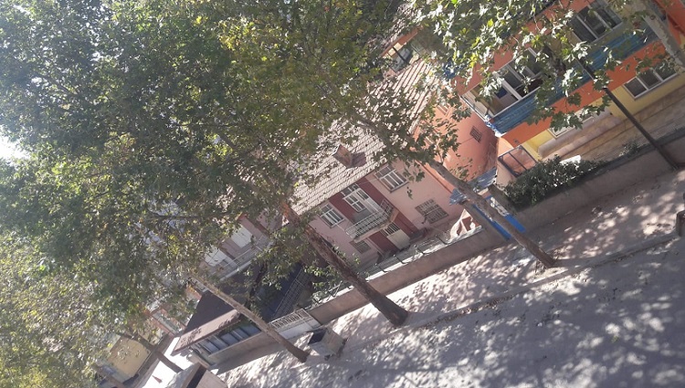 SULANMAYAN AĞAÇLAR KURUMAYA BAŞLADI