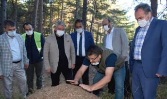GENÇLİK KAMPLARI HAYATA GEÇİYOR