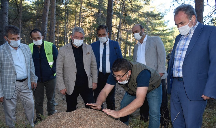 GENÇLİK KAMPLARI HAYATA GEÇİYOR