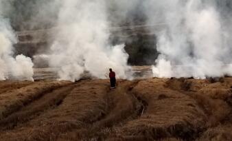 ANIZ YANGININA İDARİ CEZA!