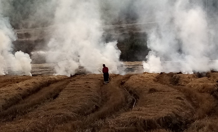 ANIZ YANGININA İDARİ CEZA!