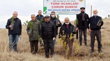 MELİKGAZİ HATIRA ORMANI KURDULAR