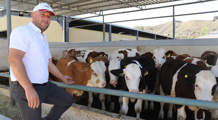 DESTEK İLE SÜT ÜRETİM ÇİFTLİĞİ KURDU
