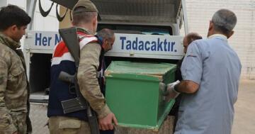 TARLADA ÖLÜ OLARAK BULUNDU