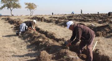 FİDAN DİKMEDE REKOR KIRILDI