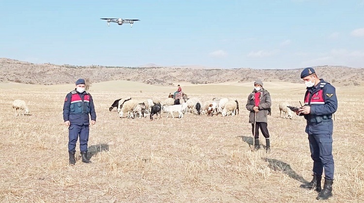 HAYVANLAR DRONE YARDIMIYLA BULUNDU