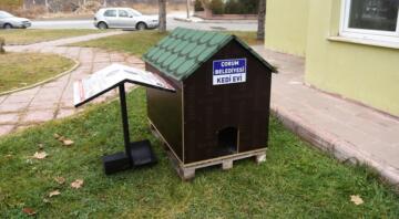 BAŞKAN KEDİ EVLERİ YAPTIRDI