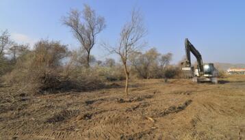 MERADAN 230 TON OT ELDE EDİLECEK