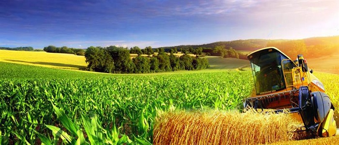 TARIMSAL BORÇLAR YAPILANDIRILIYOR