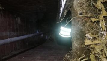 KUYUYA DÜŞEN KÖPEKLER KURTARILDI