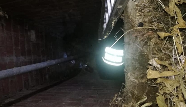 KUYUYA DÜŞEN KÖPEKLER KURTARILDI