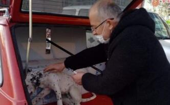 ZEHİRLENEN KÖPEĞİ ÇOCUKLAR KURTARDI