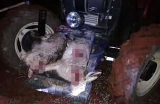 KAÇAK AVLANANLARA REKOR CEZA!
