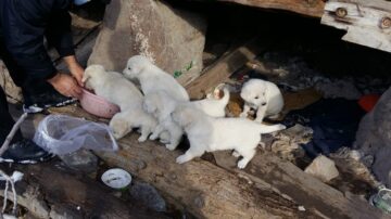 BAŞKAN ÇAĞRIYA DUYARSIZ KALMADI