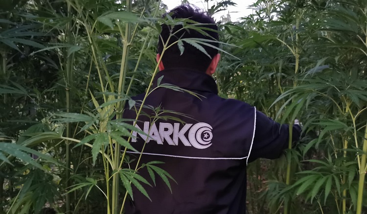 ZEHİR TACİRLERİNE BÜYÜK DARBE!