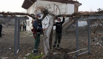 ASIRLIK ASMA KORUMA ALTINDA