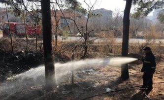 BAHÇEDE ÇIKAN YANGIN KORKUTTU