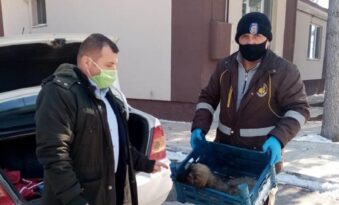 YAVRU KÖPEĞE SAHİP ÇIKTI