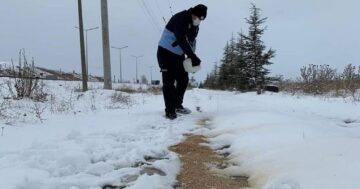 DOĞADAKİ KUŞLARA YEM BIRAKTILAR