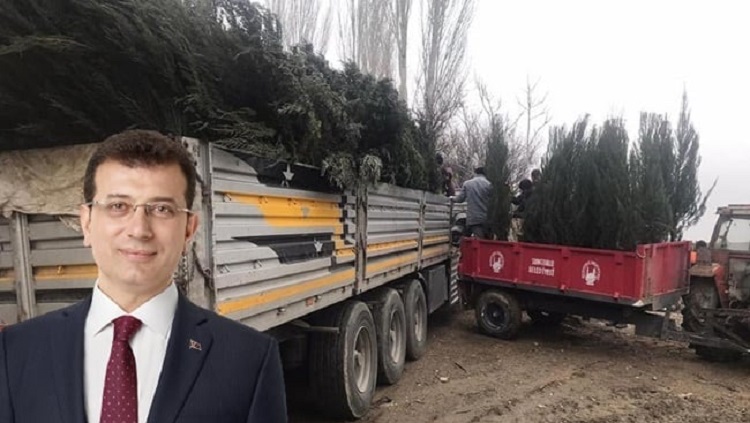 Sungurlu’ya 5 tır fidan gönderdi