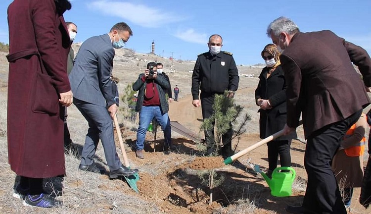 Mercan hatıra ormanına fidan dikildi