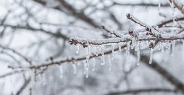 Çorum’a meteorolojiden don uyarısı!