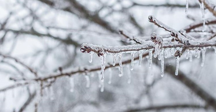 Çorum’a meteorolojiden don uyarısı!