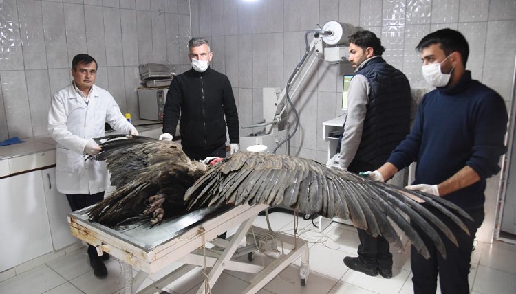 AKBABA TEDAVİ ALTINA ALINDI!