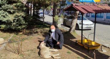 Parklara onlar için yiyecek bırakıldı