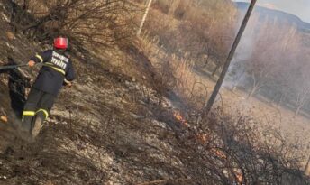 Köyde çıkan yangın küle çevirdi!