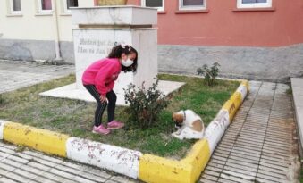 Yavru köpeğe sahip çıktılar