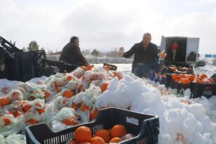 Kazada 20 ton portakal yola saçıldı!