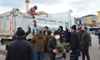 Alaca Belediyesi karaçam fidanı dağıttı