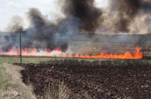 Gölünyazı kuş cenneti küle döndü!
