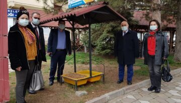 Sokak hayvanları sahipsiz değil