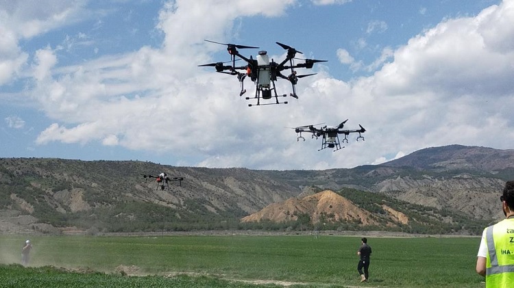 Çeltik tarlaları drone ile ilaçlandı