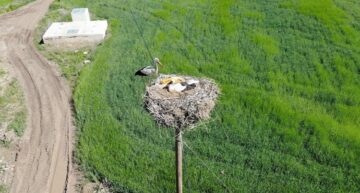 Çorum’un özel misafirleri geldi