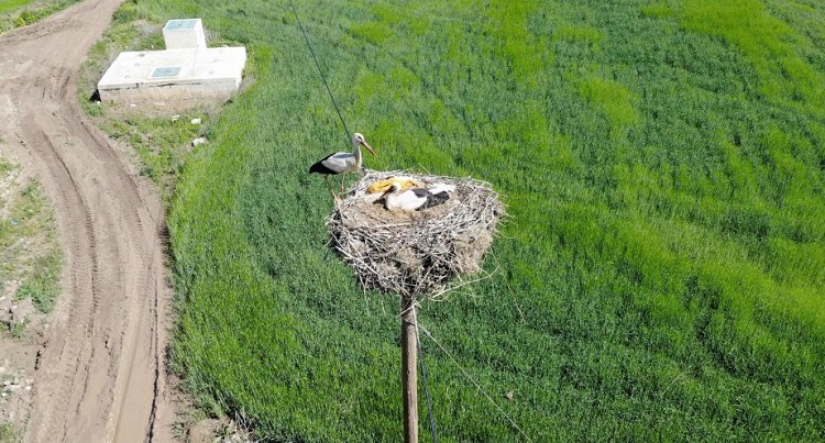 Çorum’un özel misafirleri geldi