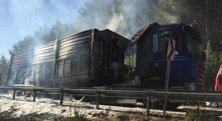 Çorumlu şoför ölümden döndü!