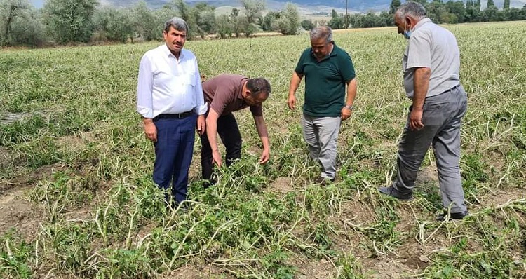 Çorum’da arazileri dolu vurdu