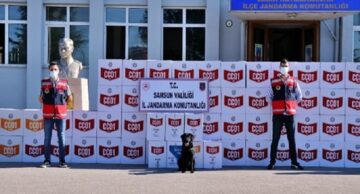 Operasyon! 33 kişi gözaltına alındı