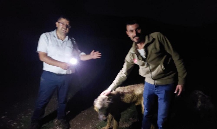 Definecilerin kazdığı çukura düştü