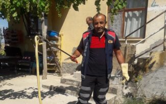 Eve giren yılan korku yarattı!