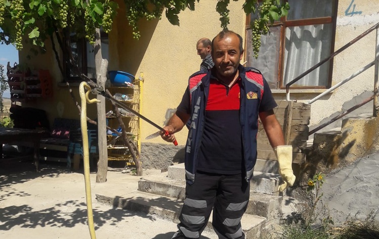 Eve giren yılan korku yarattı!