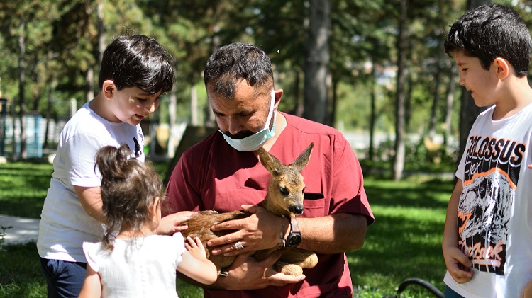 Çocuklar yavru karacaları çok sevdi