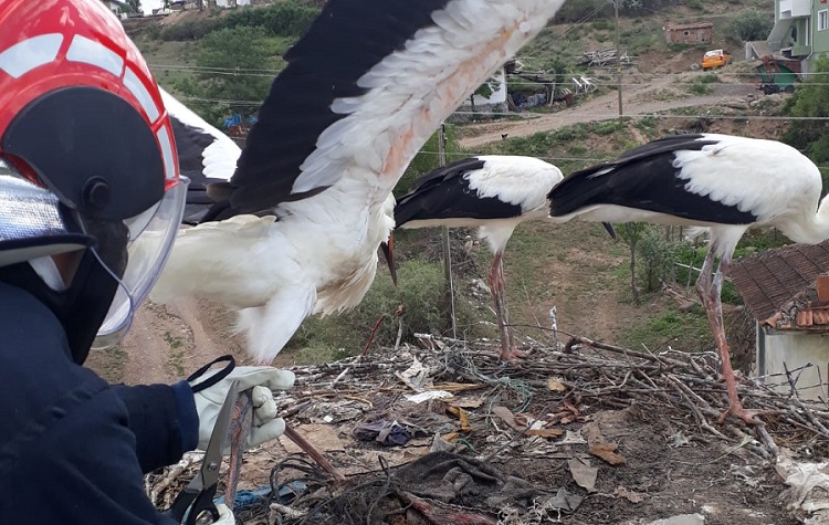 Ayağına dolanan ipten kurtuldu