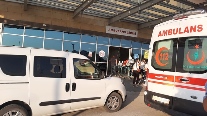 Çorum’da kene yine can aldı